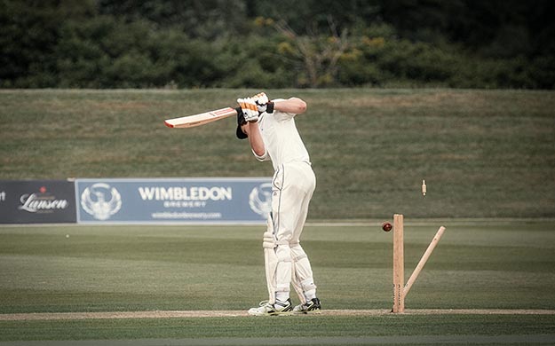 cricket-2015-059