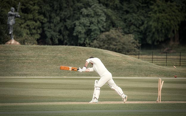 cricket-2015-065